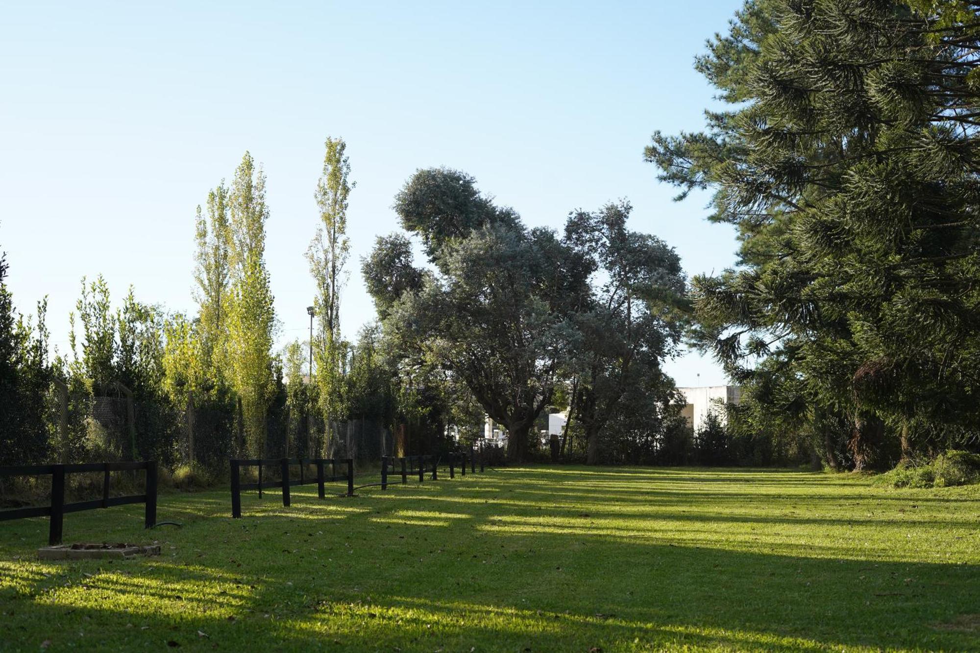 Araucarias Y Departamentos Apartment San Miguel del Monte